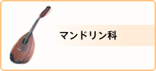 料金・マンドリン科